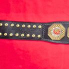 Cage-Warriors-Fighting-Championship-belt-5-scaled-1.jpg