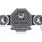 Cage-Warriors-Fighting-Championship-belt-9-scaled-1.jpg
