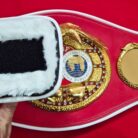 IBF-Style-Eagle-Championship-Belt-Replica-–-Custom-Award-Belt-9-scaled-1.jpg