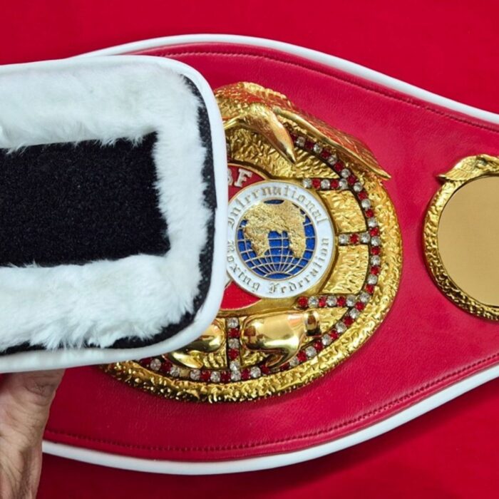 IBF-Style-Eagle-Championship-Belt-Replica-–-Custom-Award-Belt-9-scaled-1.jpg