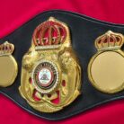 WBA-Style-Super-Lion-Championship-Belt-Replica-–-Custom-Champion-7.jpg