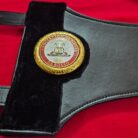 WBA-Style-Super-Lion-Championship-Belt-Replica-–-Custom-Champion-8.jpg