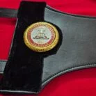 Strap end of the WBA Super Lion championship belt replica with a round logo plate