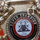 WBA-championship-belt-lion-new-version-12-scaled-1.jpg