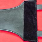 WBA-championship-belt-lion-new-version-9-scaled-1.jpg