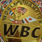 WBC-World-Boxing-Championship-Belt-Replica-–-Custom-Championship-8.jpg