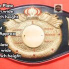 customizable-brass-championship-belt-front-view-with-details-of-product-black-color-scaled-1.jpg