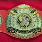 jcw-world-juggalo-championship-replica-belt-front.jpg.jpg