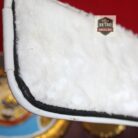 wbo-world-boxing-organization-boxing-belt-2.jpg