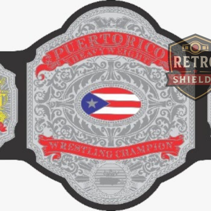 city wrestling championship belt (1)