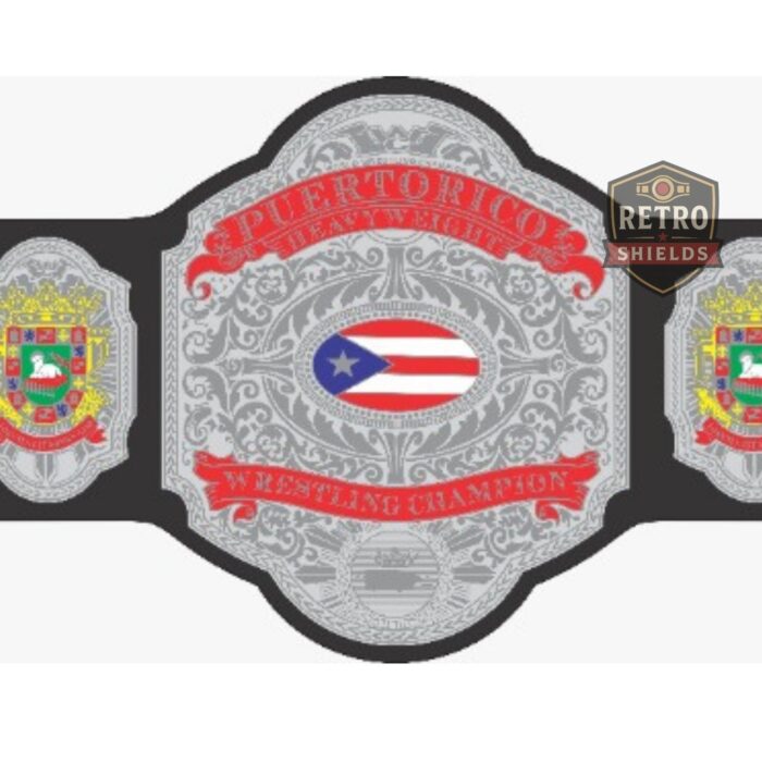 city wrestling championship belt (2)