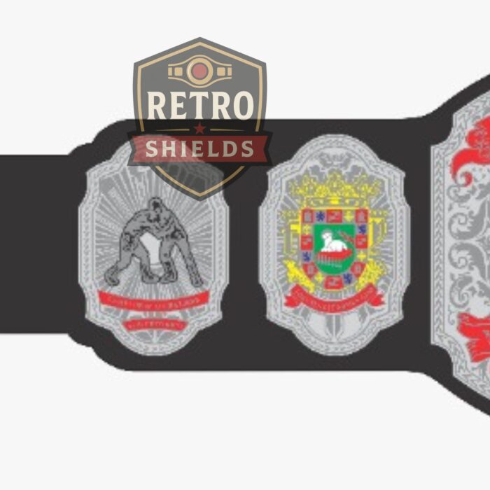 city wrestling championship belt (7)