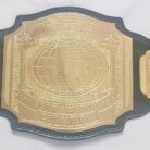 texoma belt