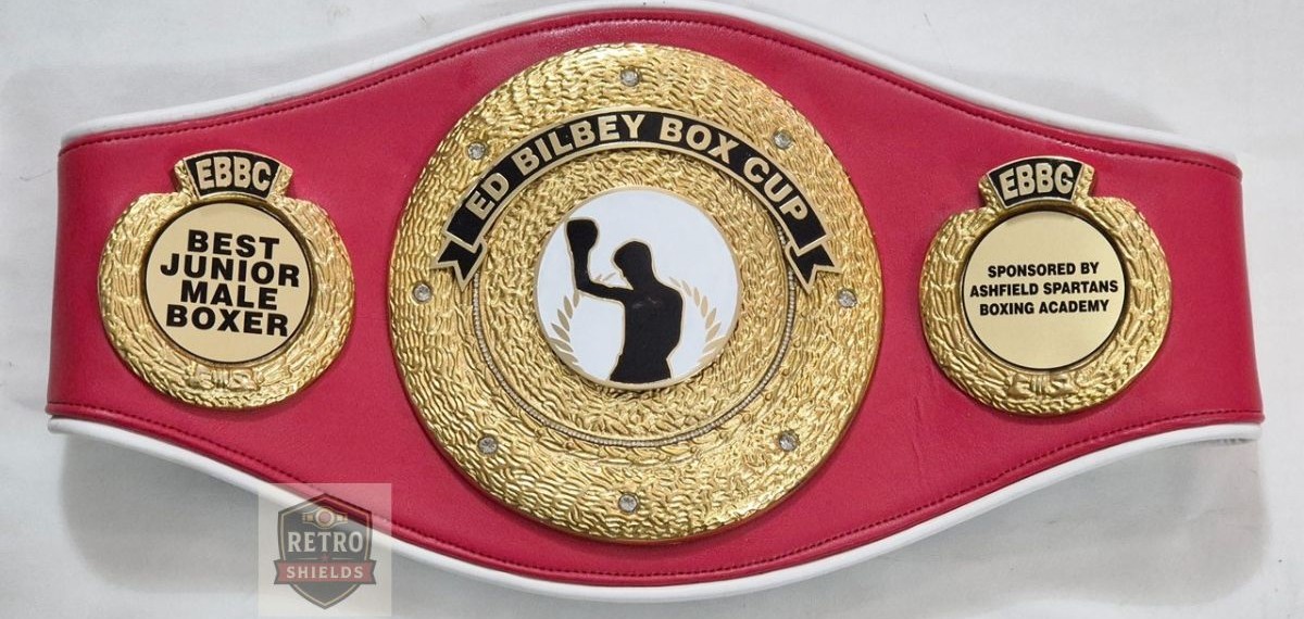 customised boxing belts 10 customised boxing belts 10