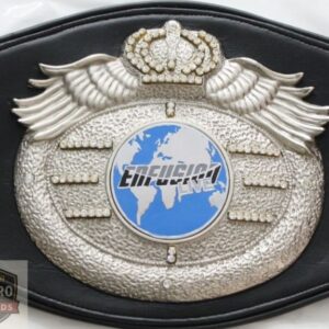 customised boxing belts 11