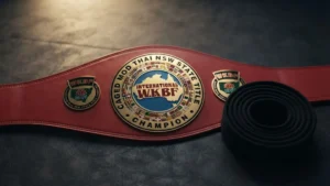 Kickboxing belts in order from white to black beside a gold kickboxing championship belt