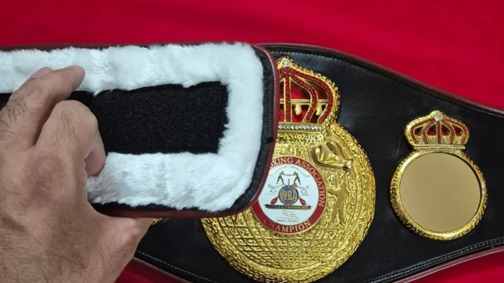Inside view of a championship belt showing the leather strap and lining