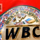 WBC style championship belt detail view 10