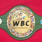 WBC style championship belt detail view 5