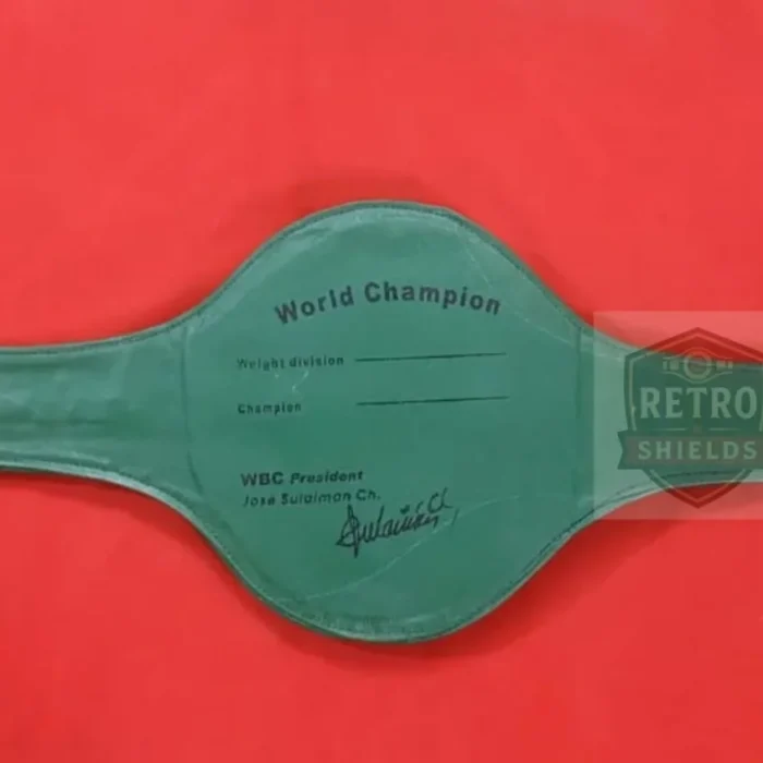 WBC style championship belt detail view 3