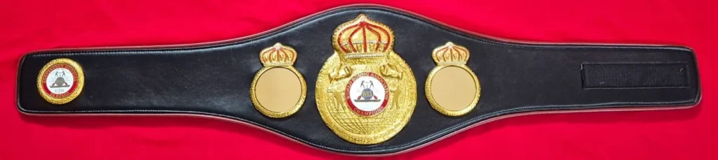 Full length WBA style belt with black strap and gold center plate on a workshop bench